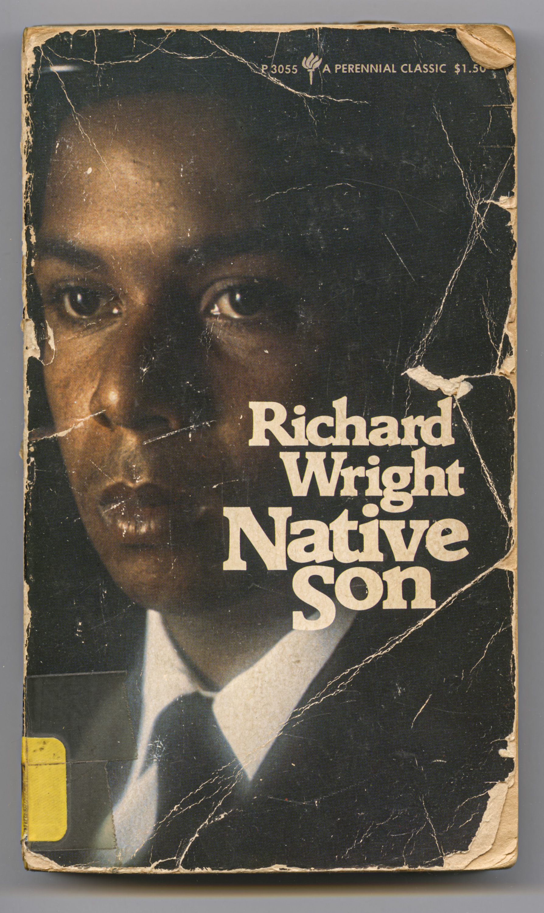 Native Son